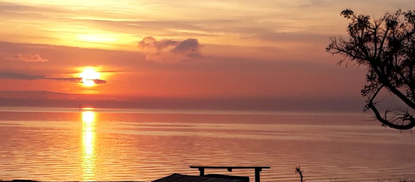 Manual de vida, sabiduría cotidiana