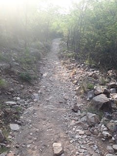 ‘Lo que el árbol tiene de florido, vive de lo que tiene sepultado’ (F L Bernárdez)