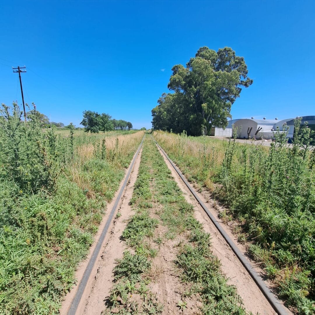 camino a la meditación