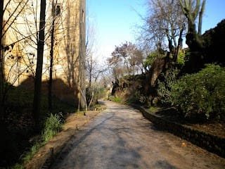 Caminar y desapegarse