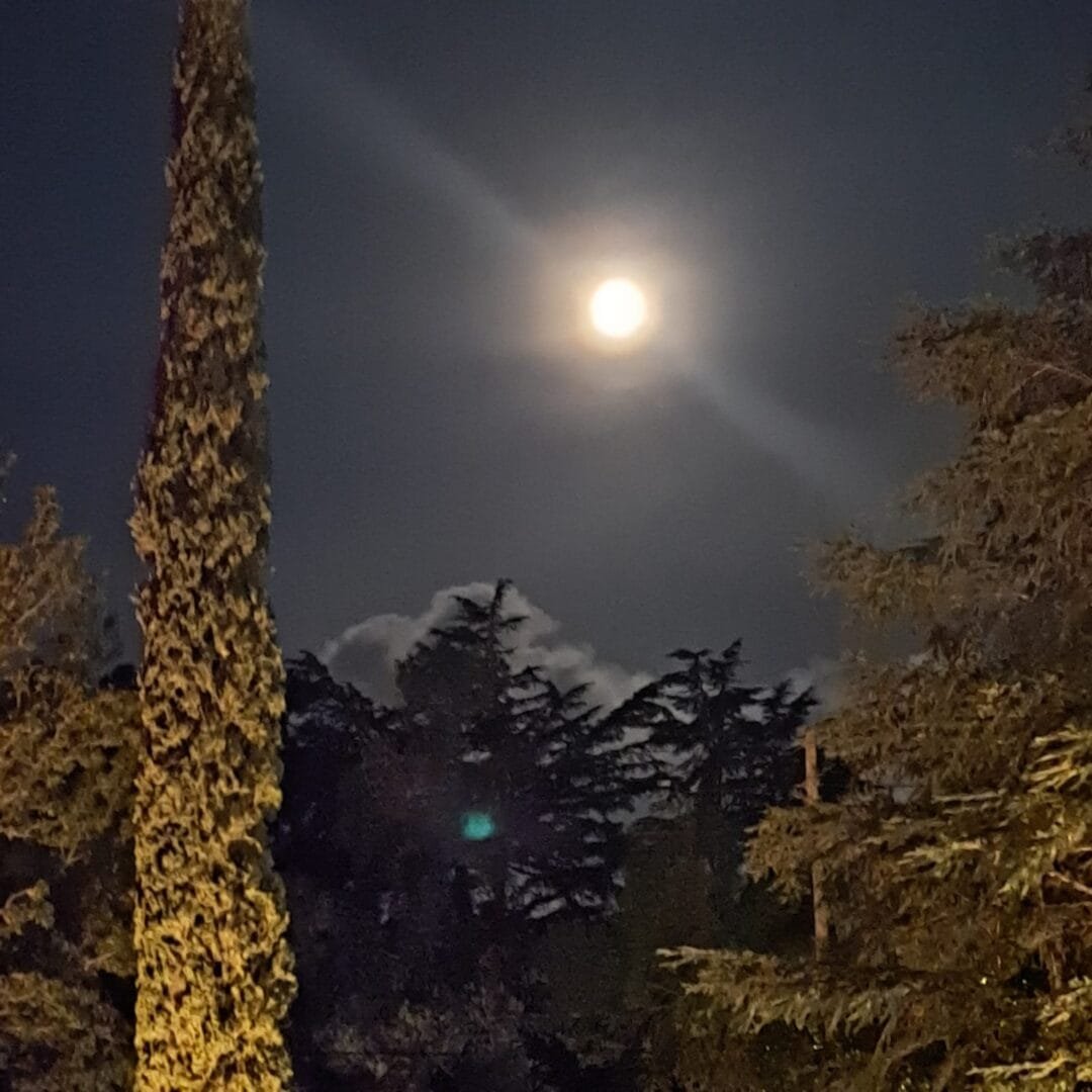 Luna que ilumina