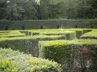 El camino como laberinto