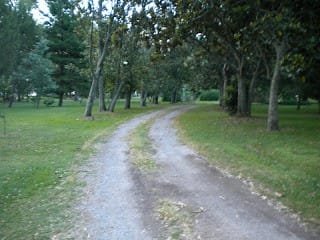 Agradecer en el camino