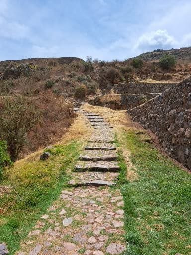 Caminos que salen al encuentro