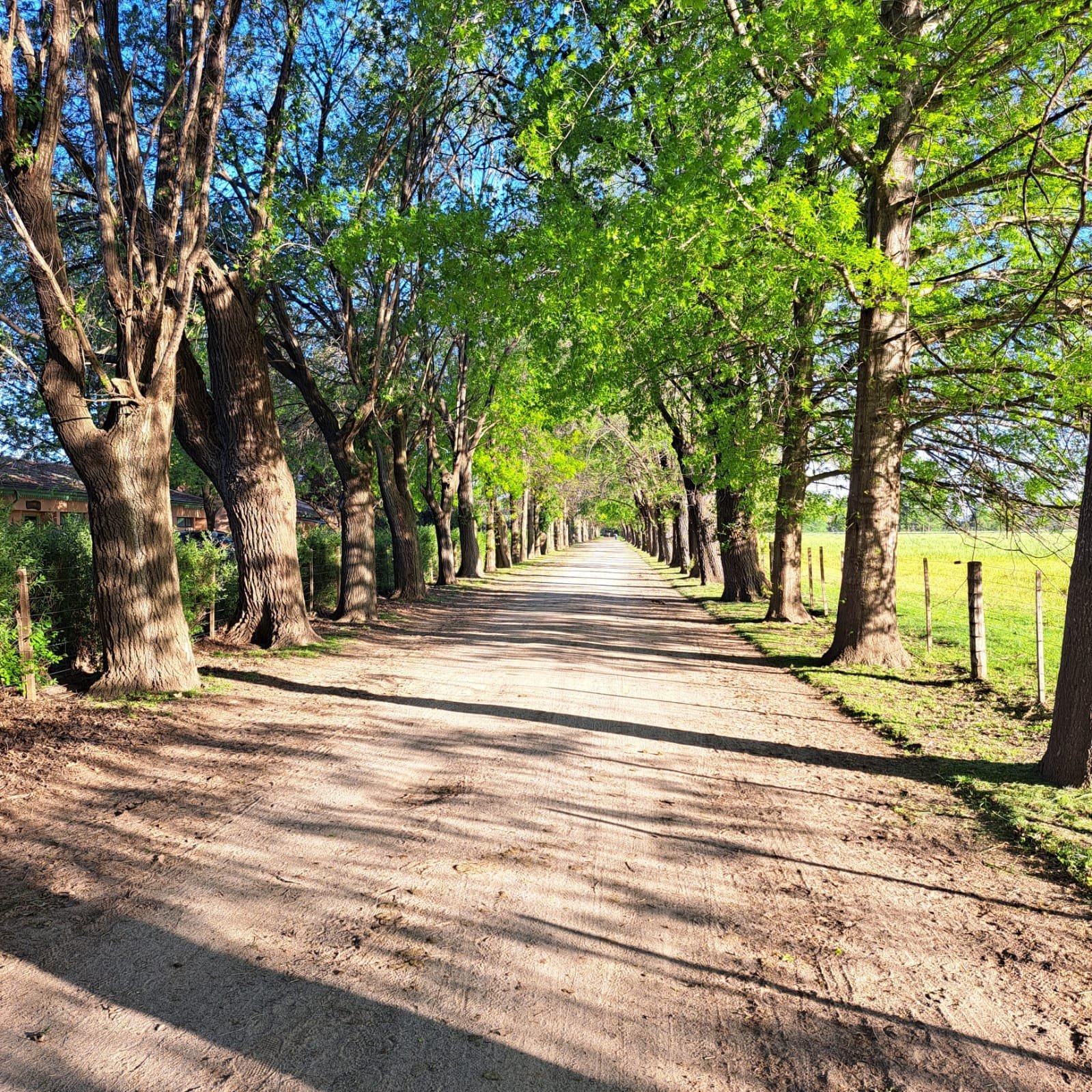 Sendero de la virtud