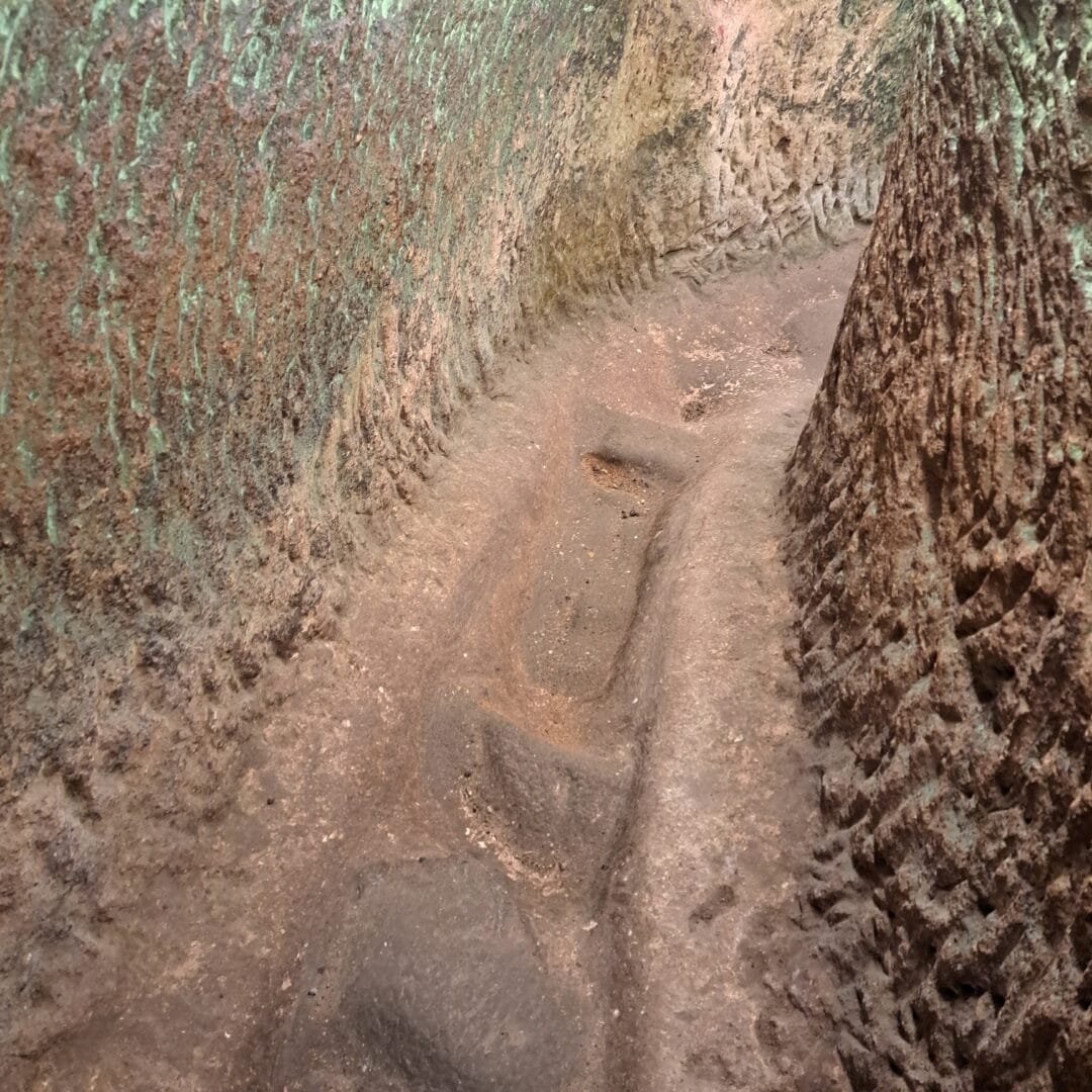 Caminar hacia lo desconocido