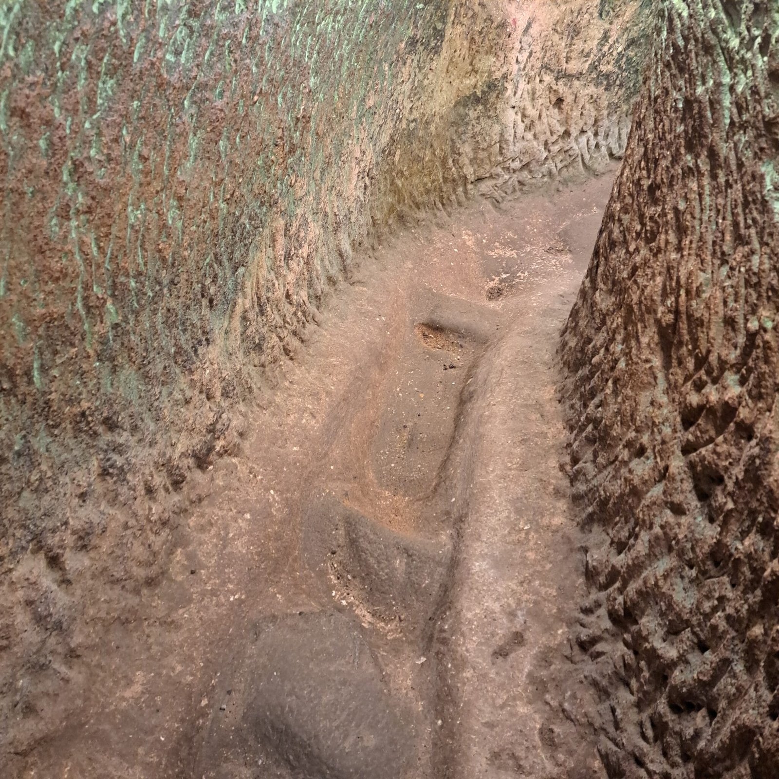 Caminar hacia lo desconocido