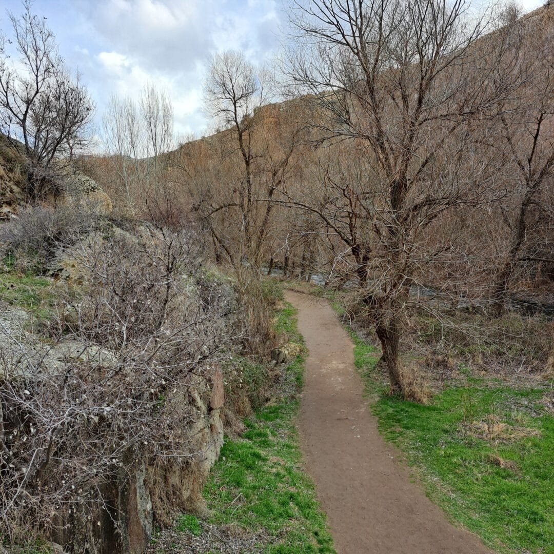 Camino hacia donde pertenecemos