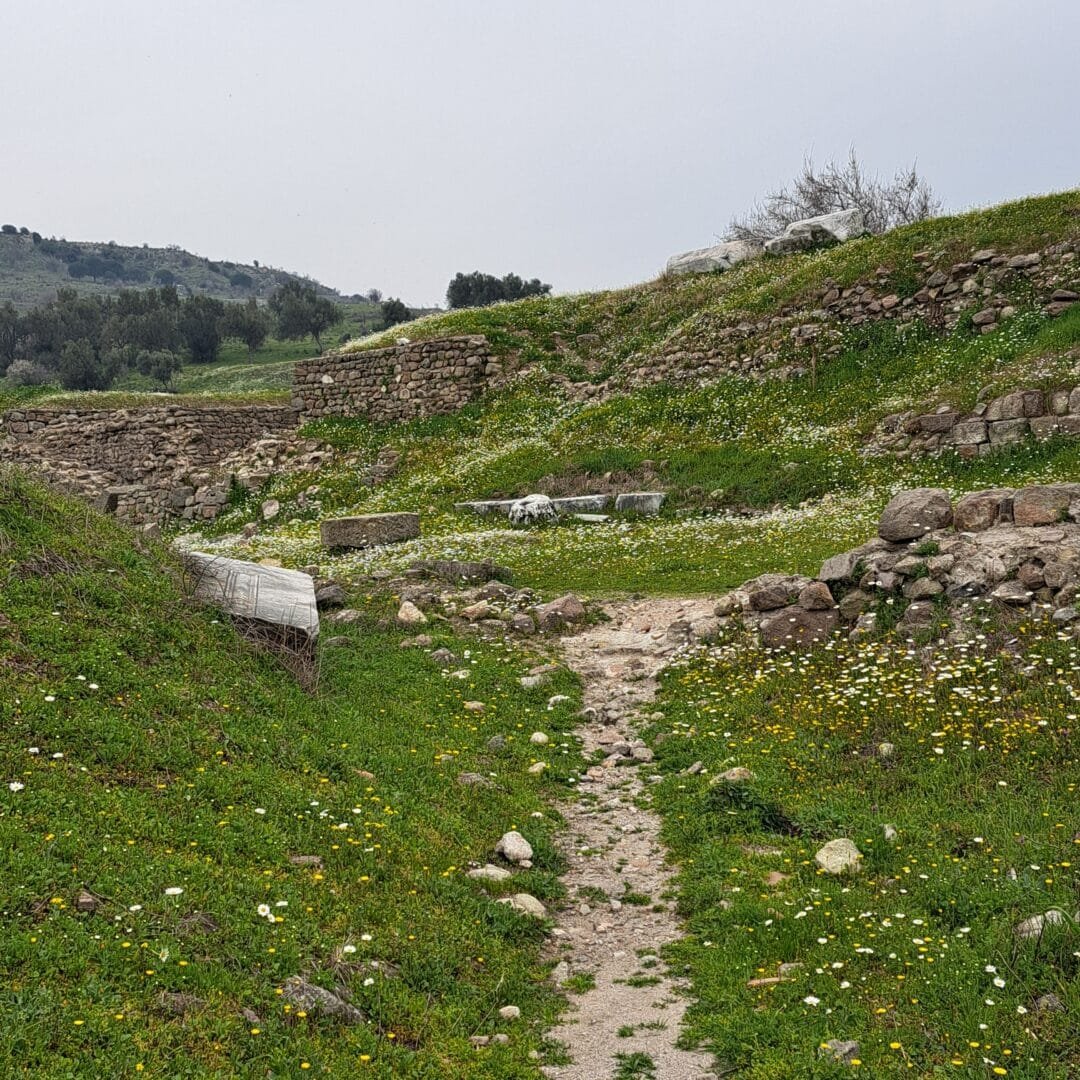Parecen piedras, son geodas