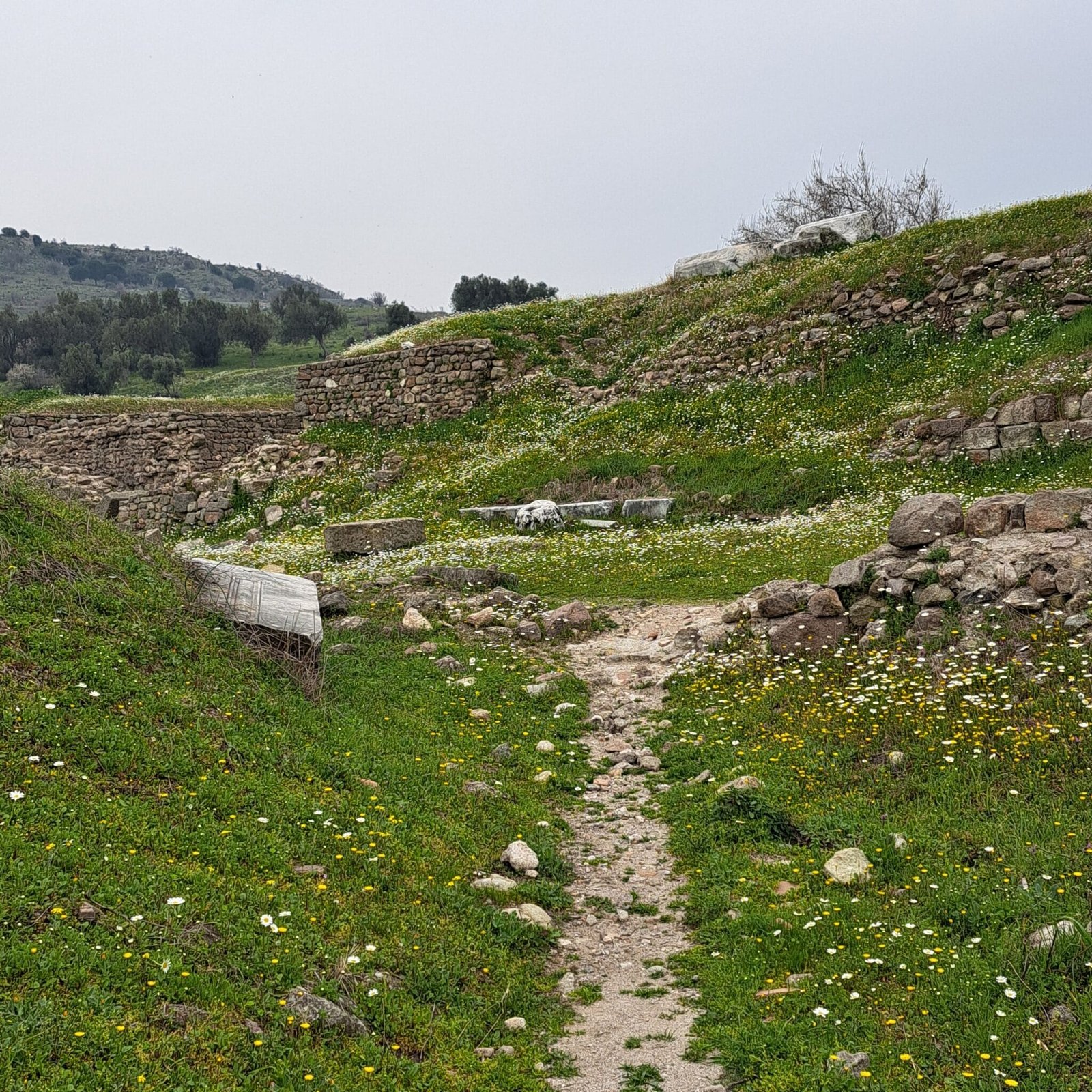 Parecen piedras, son geodas
