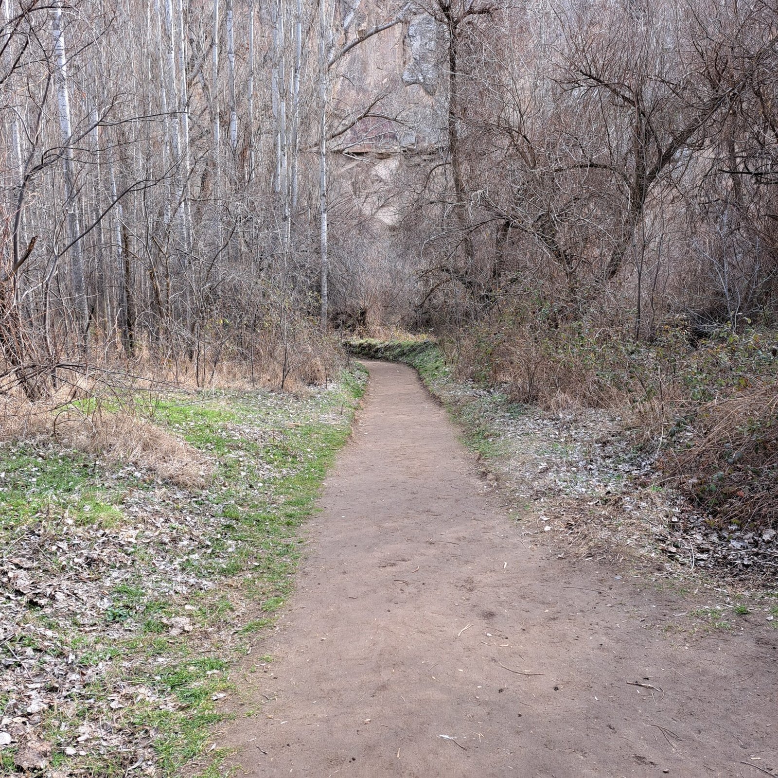 Caminos en soledad o compañía