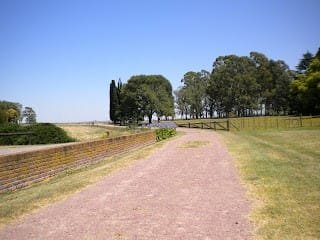 Caminos nuevos o huellas perdidas